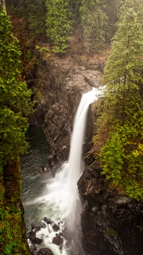 Elk Falls Provincial Park - Elk Falls