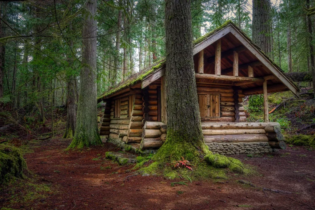 a cabin at Little Qualicum Falls hike