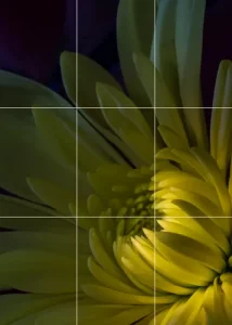 Rule of Thirds in Photography
