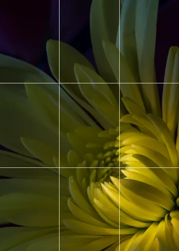 Rule of Thirds for Photography