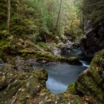 Little Huson Caves Park: A Hidden Secret on Vancouver Island