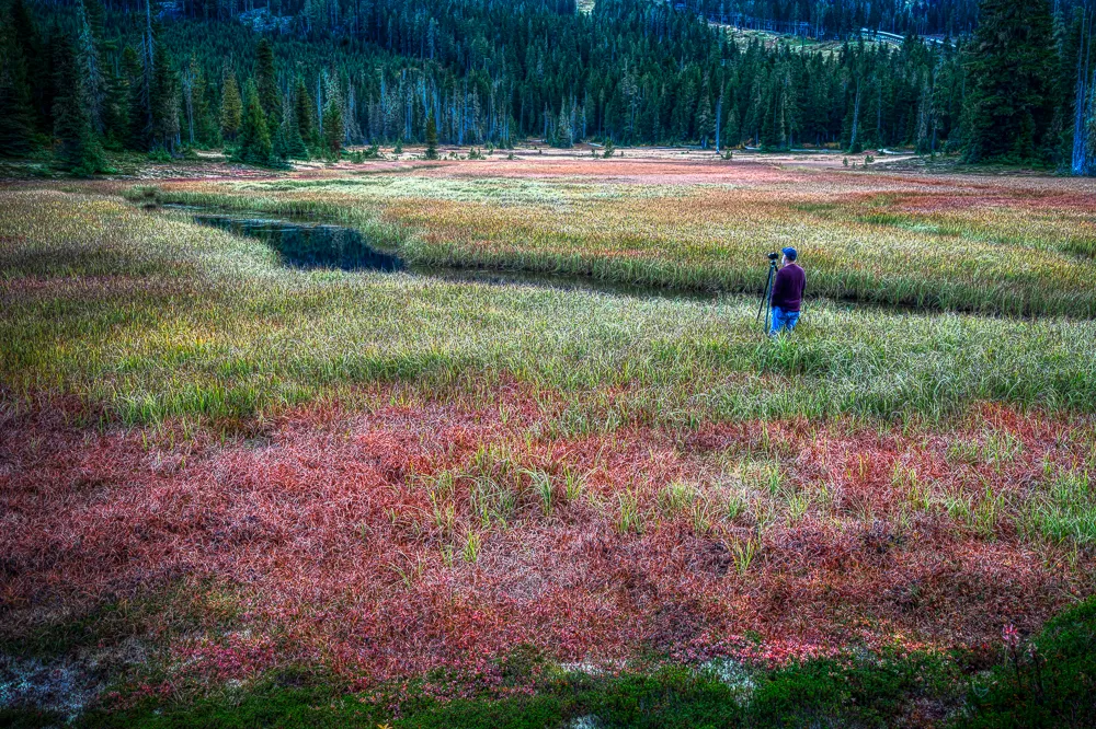 photographing paradise meadows trail