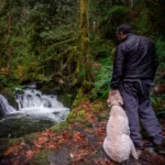 Photographing Nile Creek Trailhead: Waterfalls on Vancouver Island
