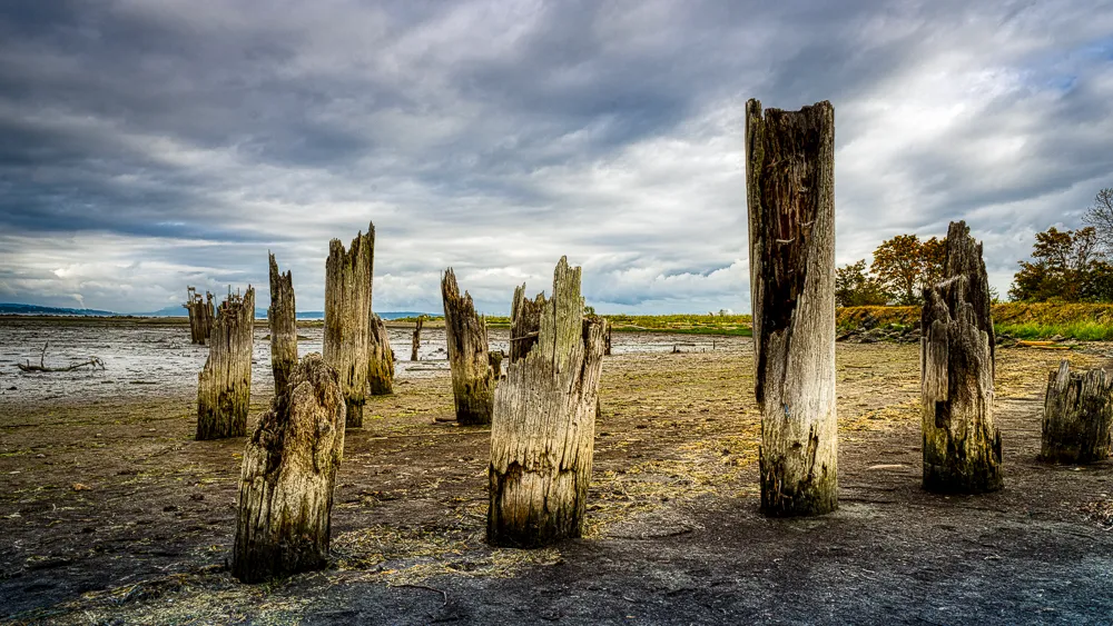 Pylons at Oyster Bay Shoreline Park On Vancouver Island