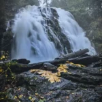 Photographing Christie Falls: A Beautiful Waterfall Near Ladysmith, BC