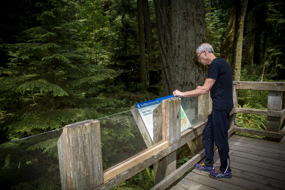 Man reading about the history of Cathedral Grove BC