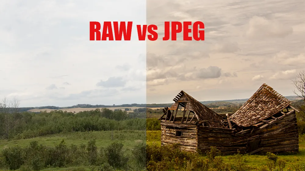 example explaining Raw vs JPEG photos