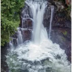 Explore the Breathtaking Campbell River waterfalls Including Elk Falls Park