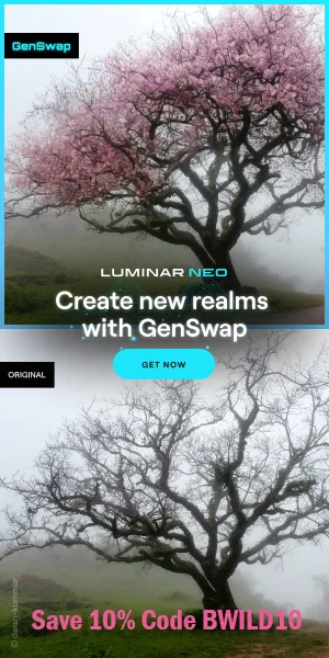 Skylum GenSwap