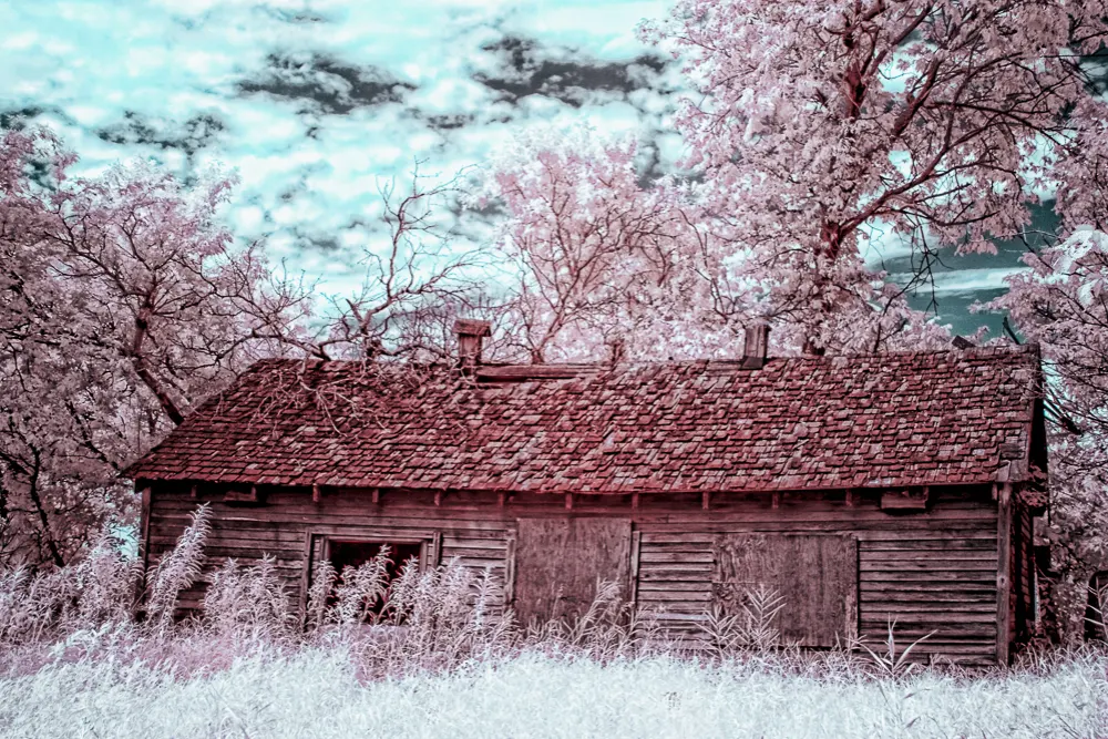 results of using a infrared filters for cameras