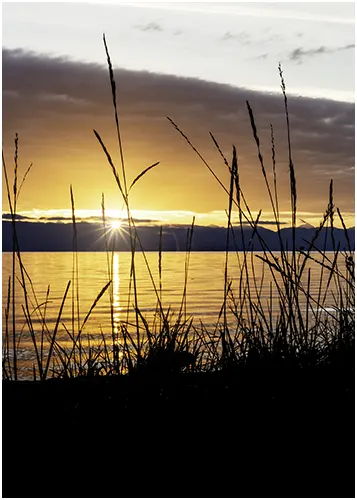 example of lens flare photography taken at the lake