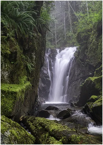 foreground depth of field of a waterfalls