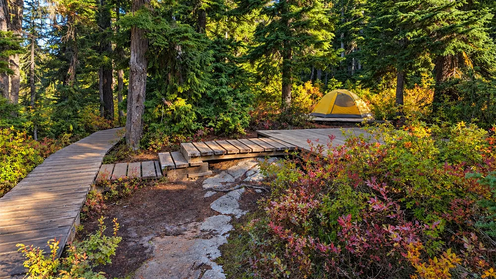 Campsite at lake helen mackenzie