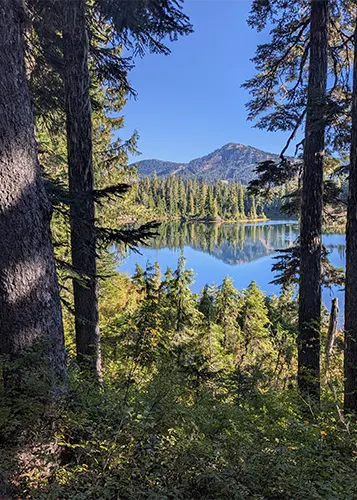 trail with pond on the way to battleship lake