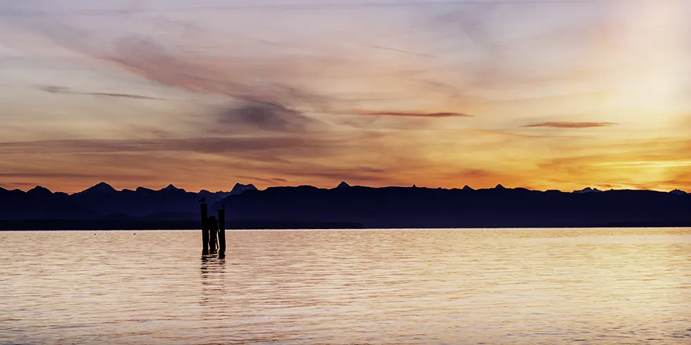 variable neutral density filter was used to photography this image.
