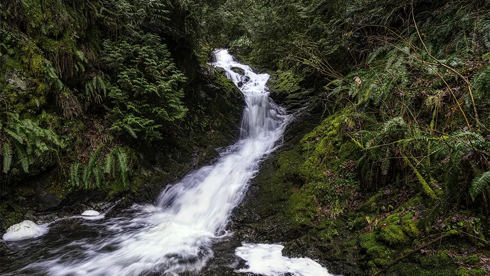 example of an s curve photography using a waterfall